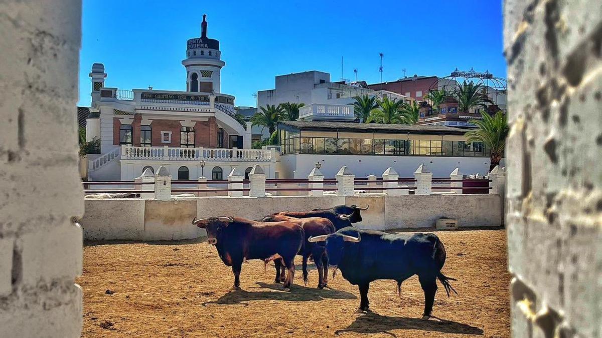 Los toros del Corpus en la Maestranza ya están en la Venta de Antequera