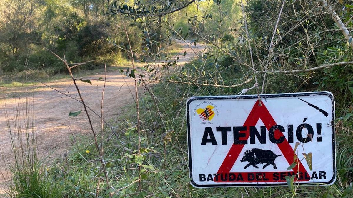 Un cartell que alerta d'una batuda de senglar en una zona boscosa del parc natural del Montgrí