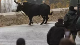 Ontinyent indemniza con 12.000 € a dos heridos del bou de les penyes