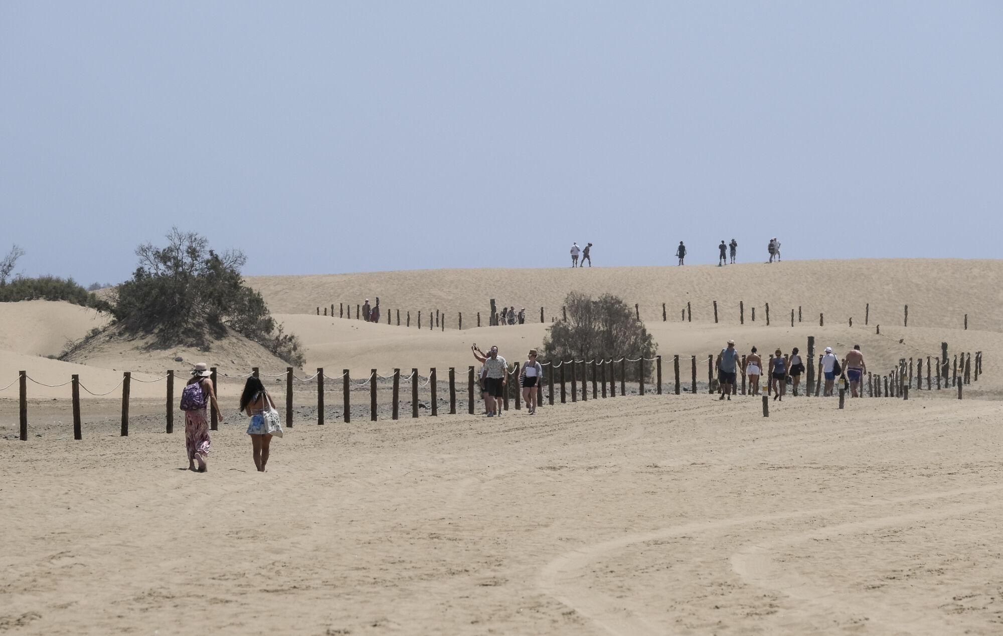 Jornada de calor en Maspalomas (29/07/25)