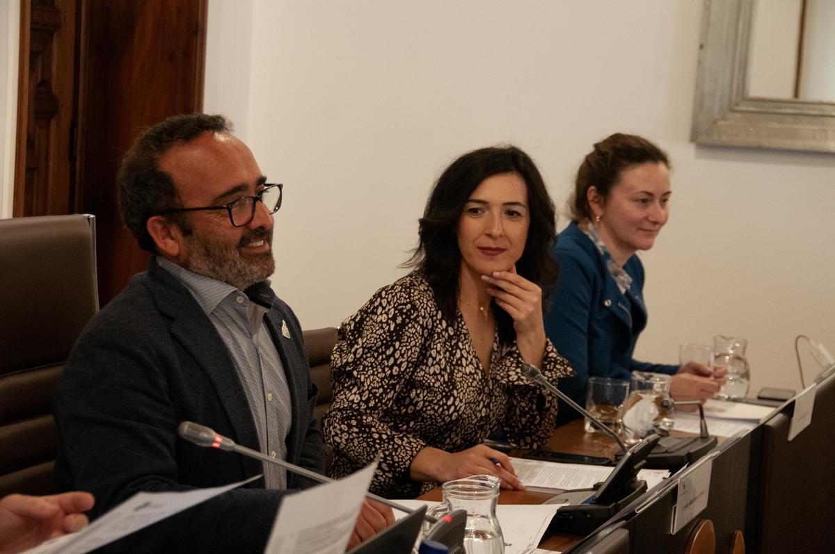 Morales en el último pleno celebrado en la Diputación de Cáceres.