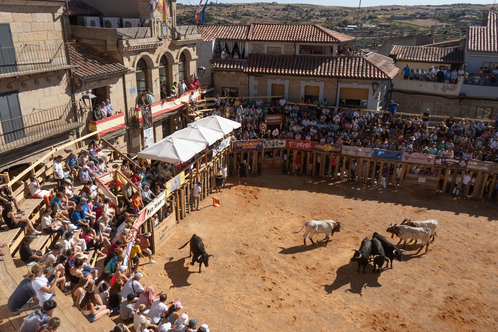 Segundo encierro en Fermoselle