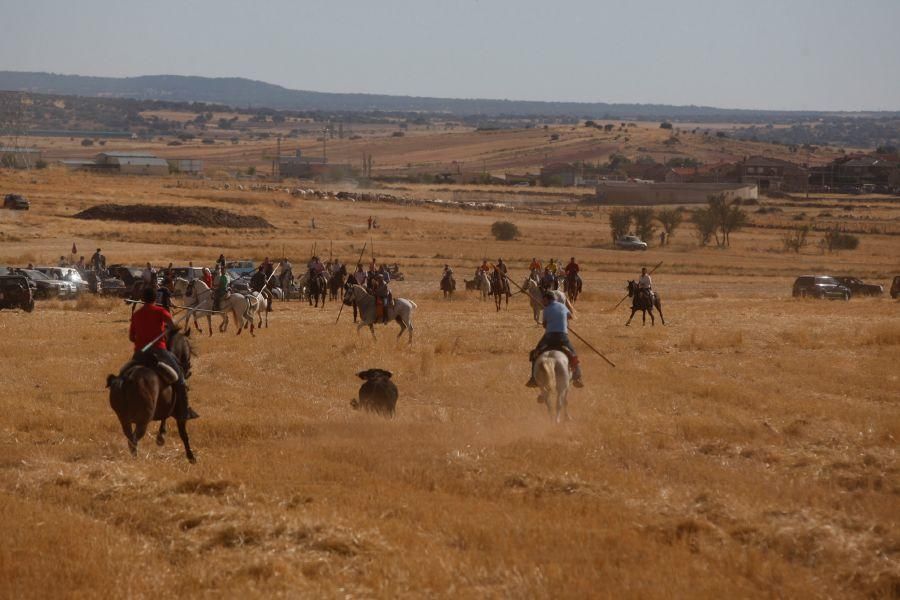 Fiestas en Zamora: Espante en Pereruela