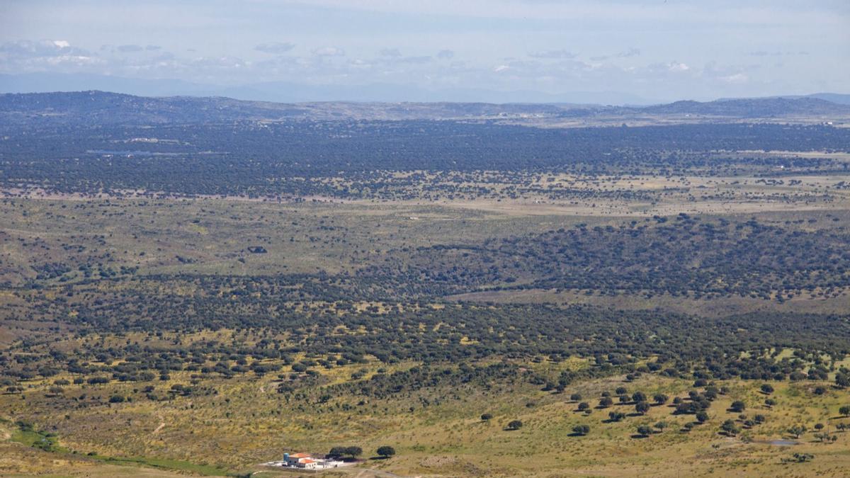 La ZEPA Llanos de Cáceres y Sierra de Fuentes es una de las modificadas, con 2.349,24 hectáreas menos.