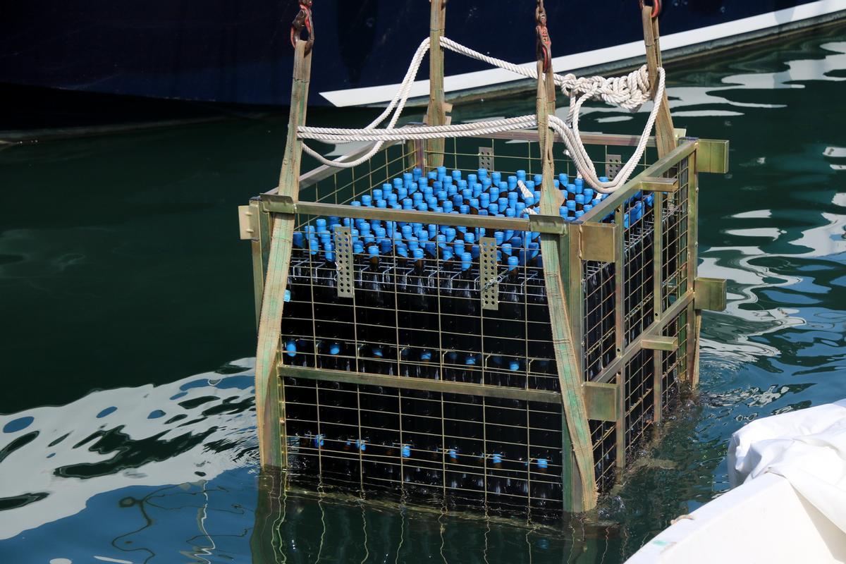 Mig centenar d'ampolles de Malvasia de Sitges són submergides al Port d'Aiguadolç per provar un nou mètode d'envelliment