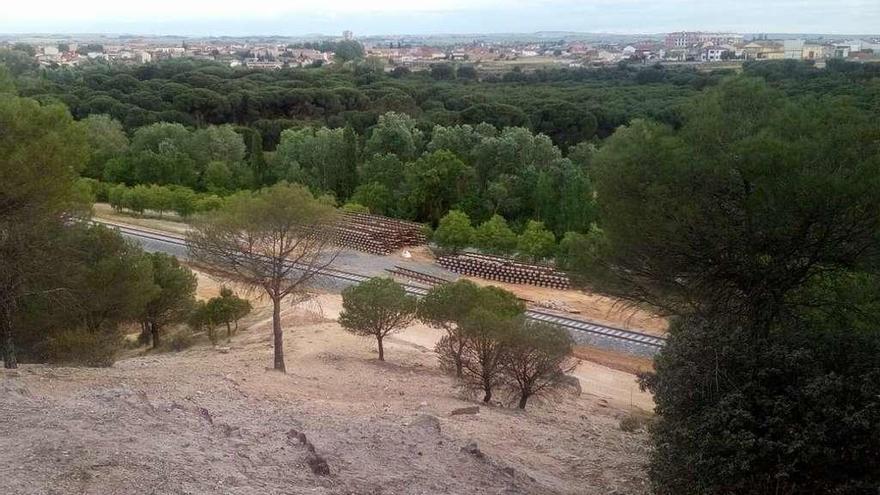 Vista de la zona de obras del montaje de la vía derecha, en pleno corazón del bosque.