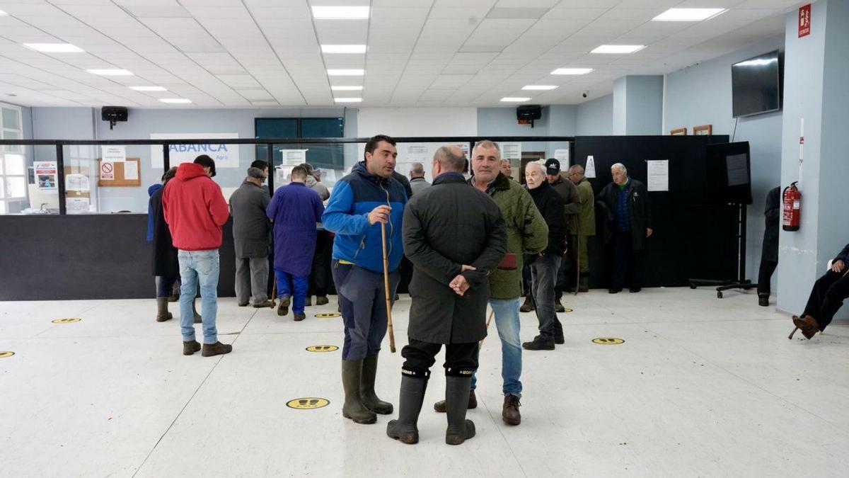 La sala de subastas presentaba un aspecto más desangelado de lo habitual.