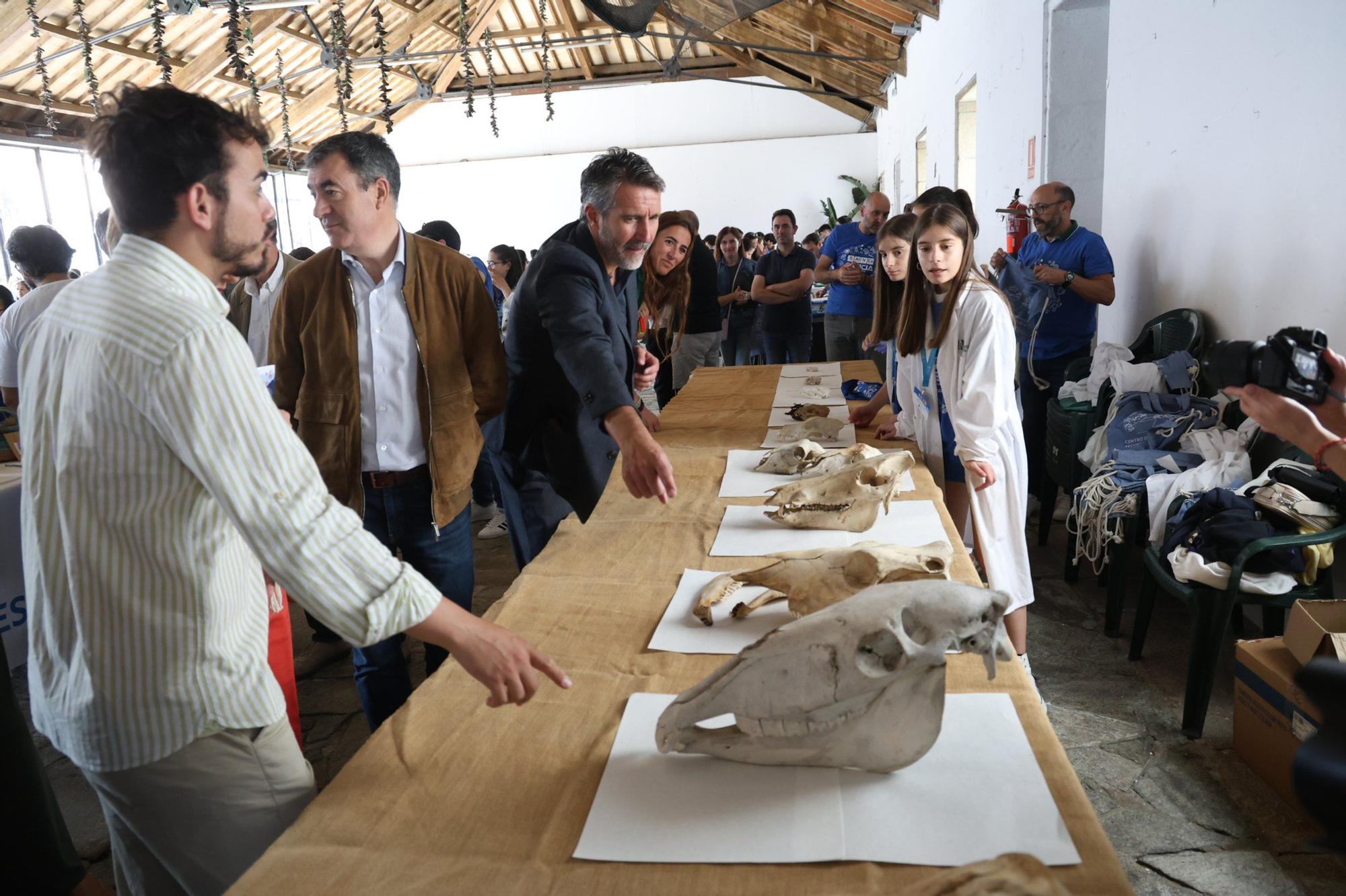 La feria Salnés Ciencia, celebrada esta mañana en la plaza de A Peixería (Vilagarcía).