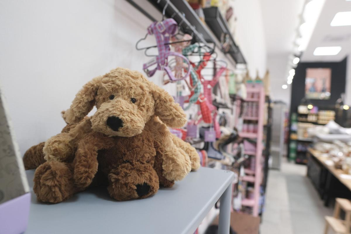 Coolpaws, tienda de animales gourmet