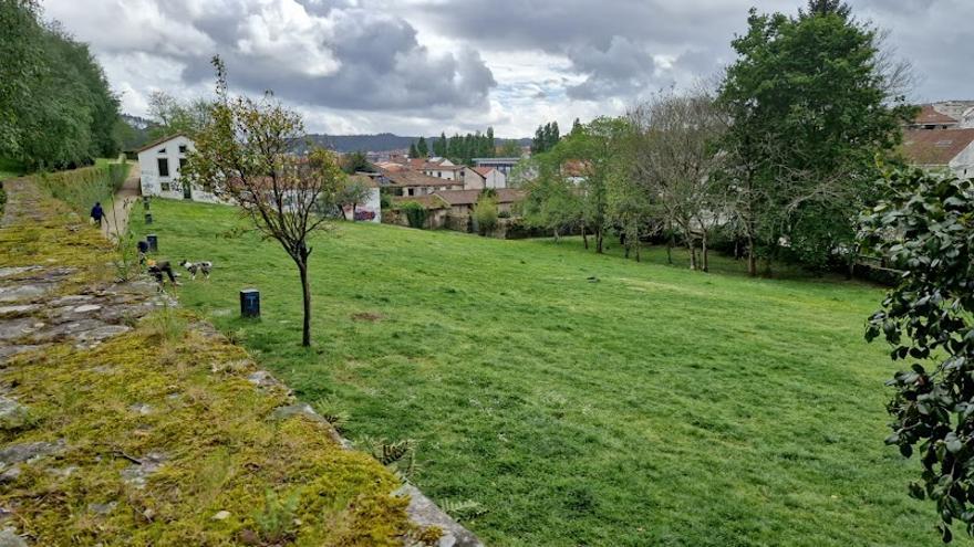 Dueños de perros empapelan Santiago exigiendo a Raxoi un &quot;parque canil digno&quot; en Belvís