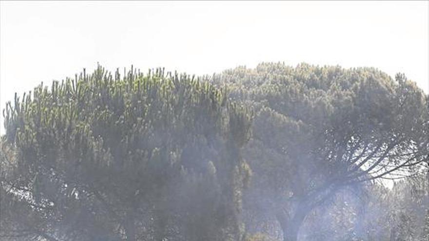 Andalucía logra frenar el avance de las llamas en el parque de Doñana