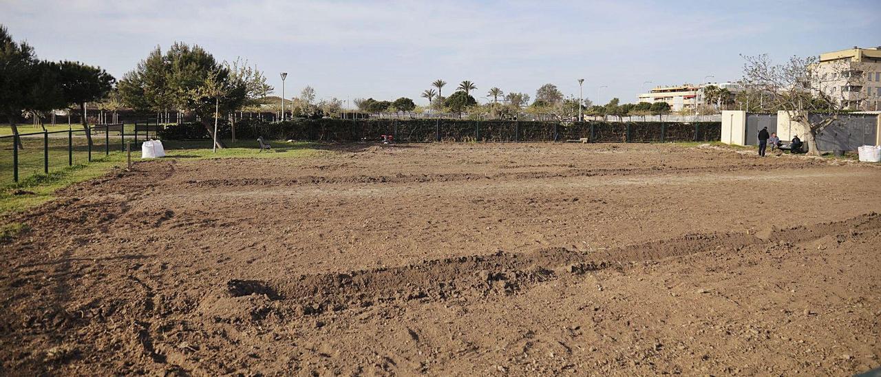 Parcelas destinadas a huertos urbanos en el parque de Son Parera, en Ciutat Jardí.