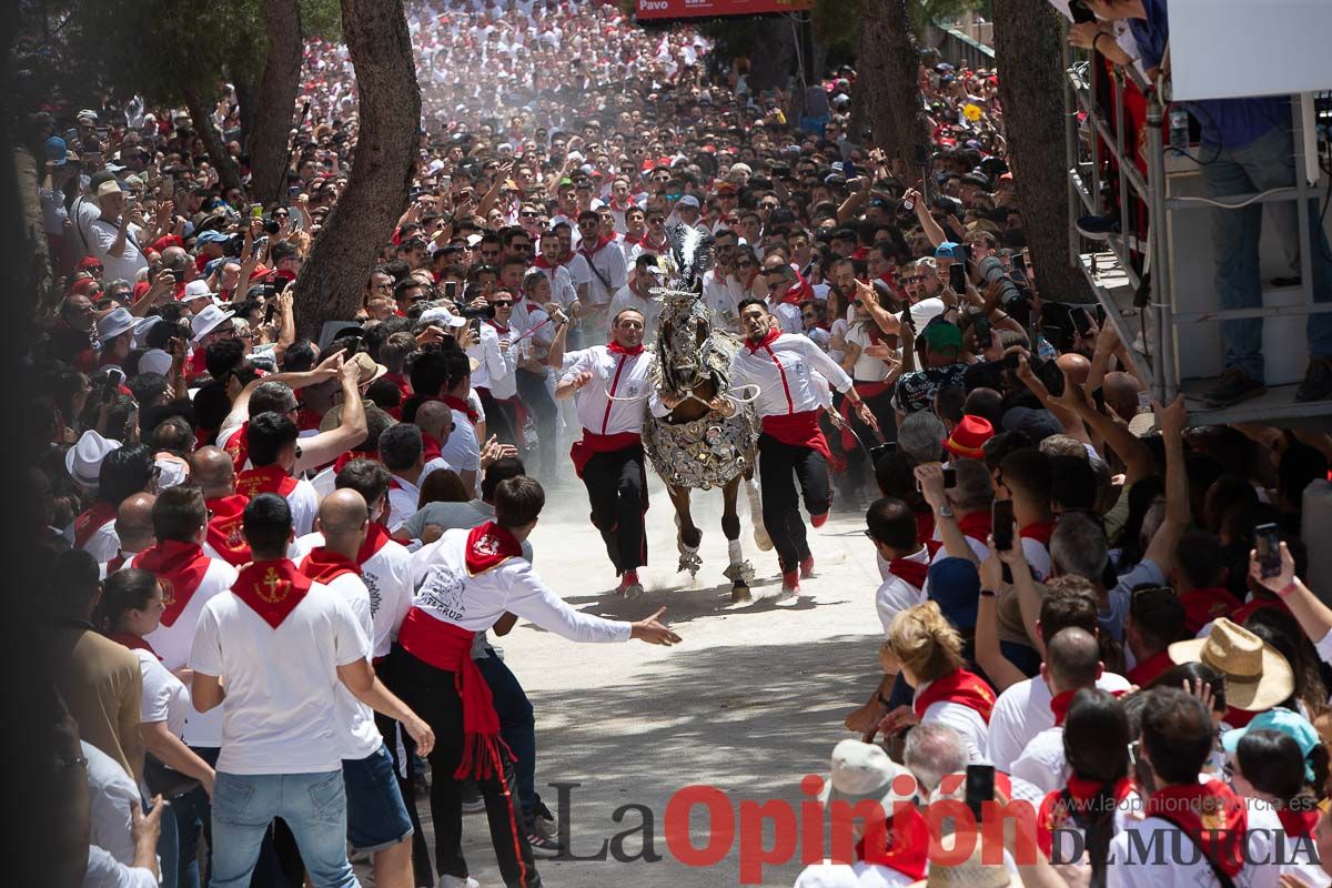 Así ha sido la carrera de los Caballos del Vino en Caravaca