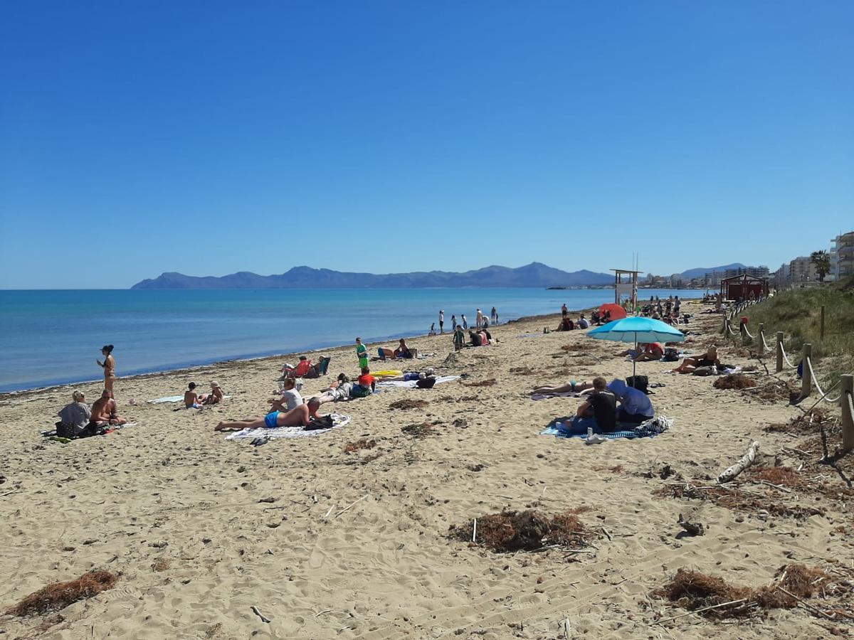 FOTOS | Mallorca se adelanta al verano: Son Bauló, en Can Picafort, se llena de bañistas