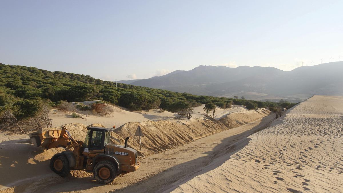 Una excavadora retira arena de la duna de Valdevaqueros, en Tarifa (Cádiz).