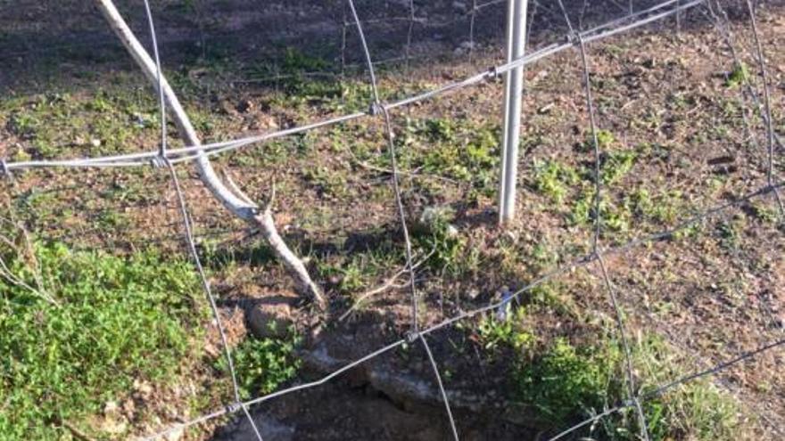 Uno de los pozos encontrados sin sellar estos días en San José de la Montaña, en Murcia.