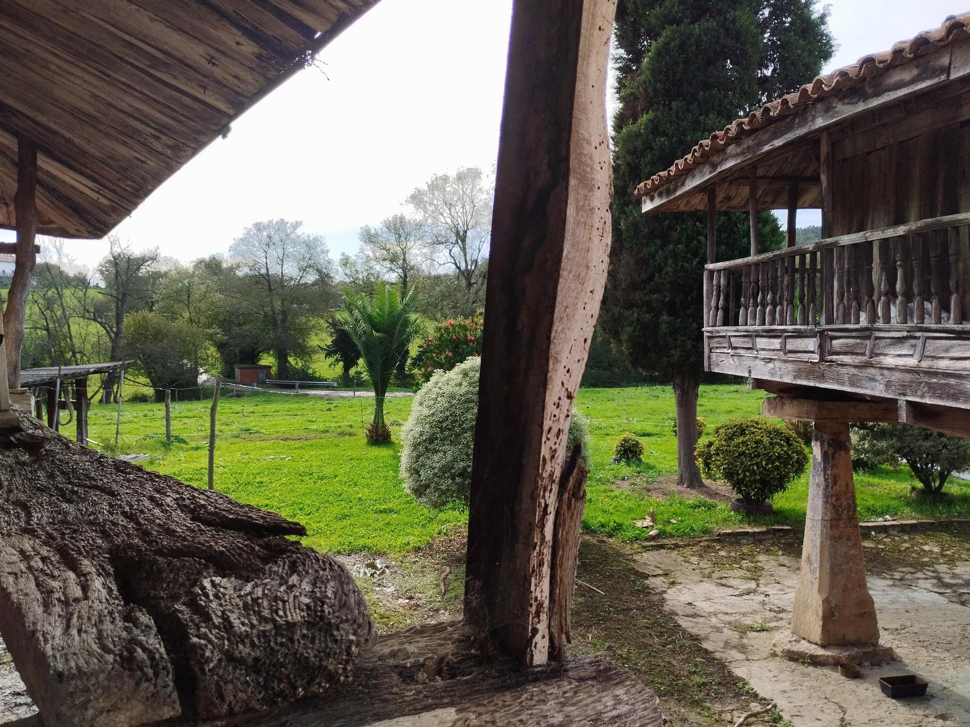 El hórreo de más de 400 años de Casa Golmaire en Santa Cruz de Llanera, en imágenes