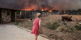 Un nuevo incendio en Zamora siembra la muerte y la destrucción