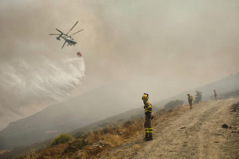 Incendio en los montes de León