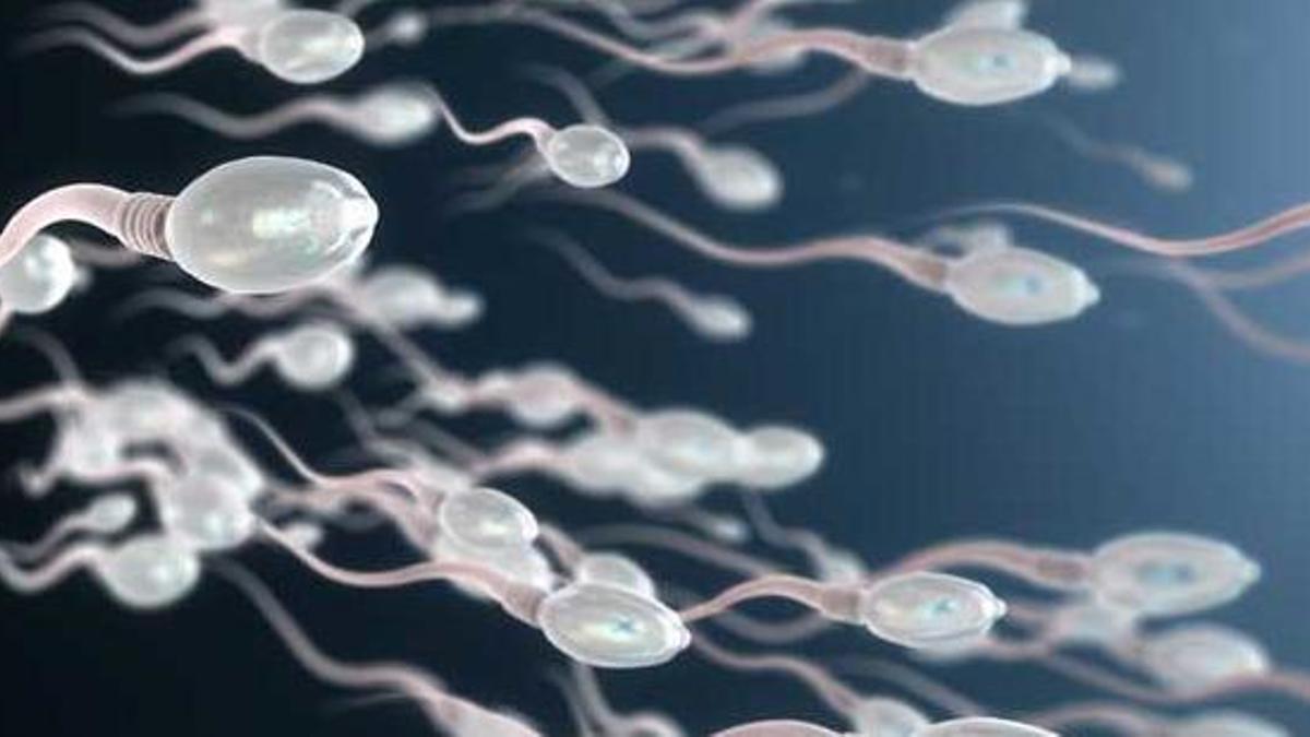 Què pot provocar el semen?
