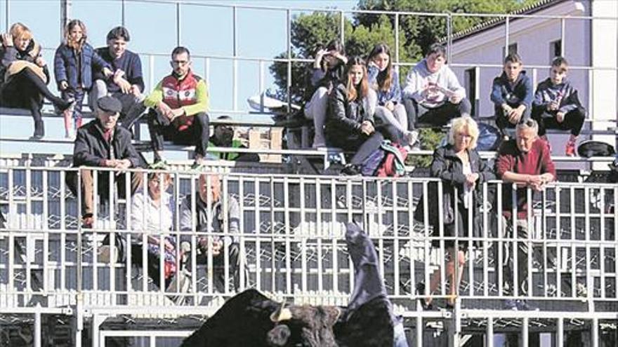 Un encierro sin incidentes arranca los actos taurinos de las fiestas