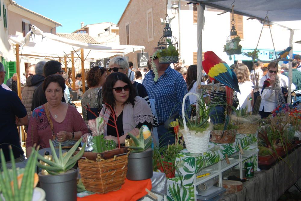 Costitx en Flor, la feria más fotogènica de Mallorca