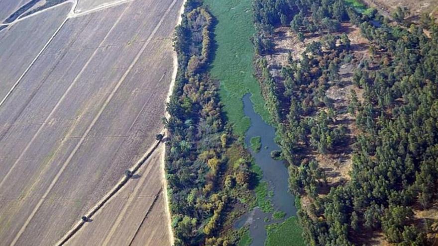 SOS Guadiana denuncia una nueva invasión de camalote a su paso por Medellín