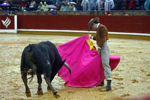 Festival a beneficio de la Asociación contra el Cáncer