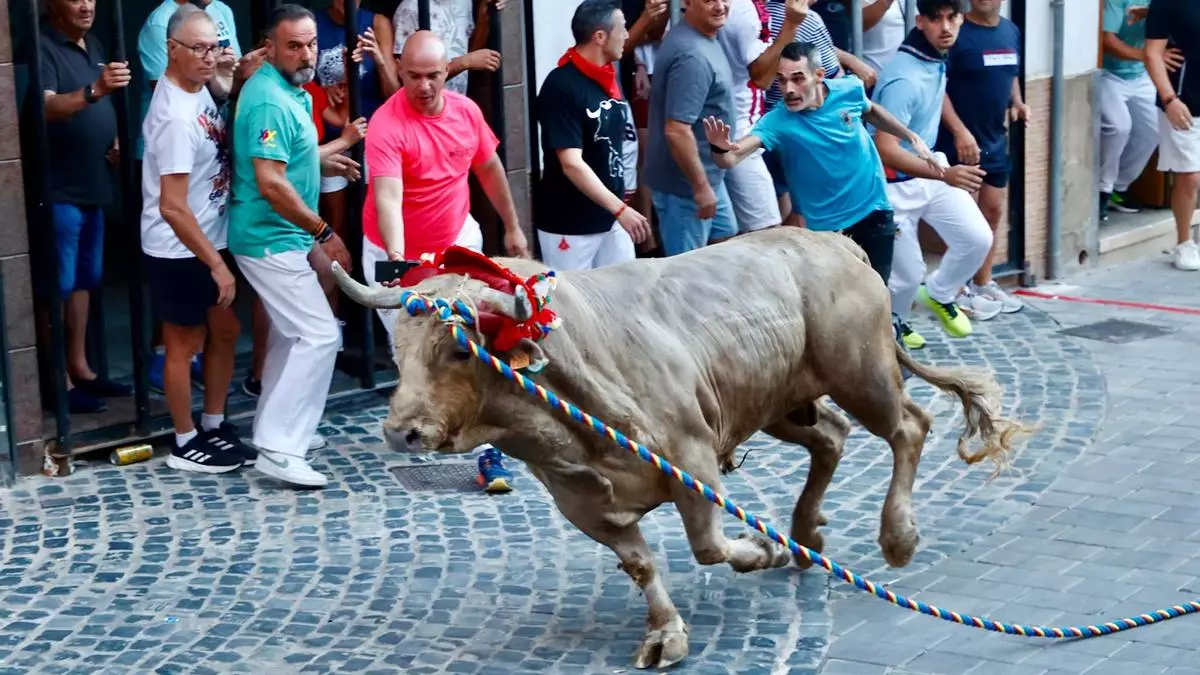 Chiva celebra el Torico de la Cuerda tras días de tensión