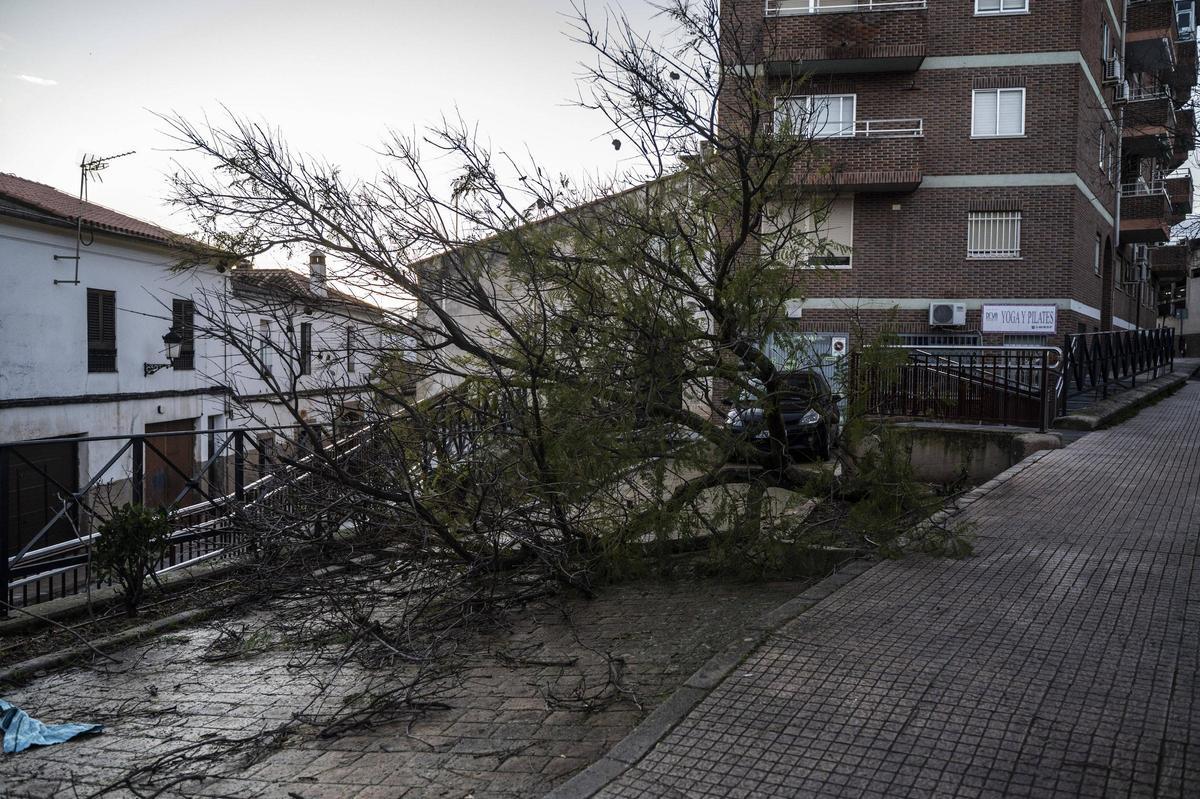Fotogalería | El temporal en Cáceres, más imágenes