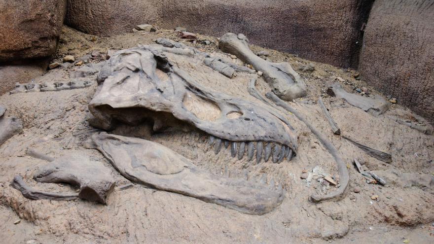 Descubren un nuevo dinosaurio en Utah con orígenes en Teruel