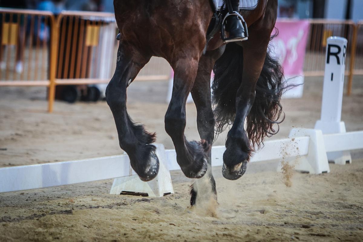 Así ha sido la Feria de Ganado de Dolores