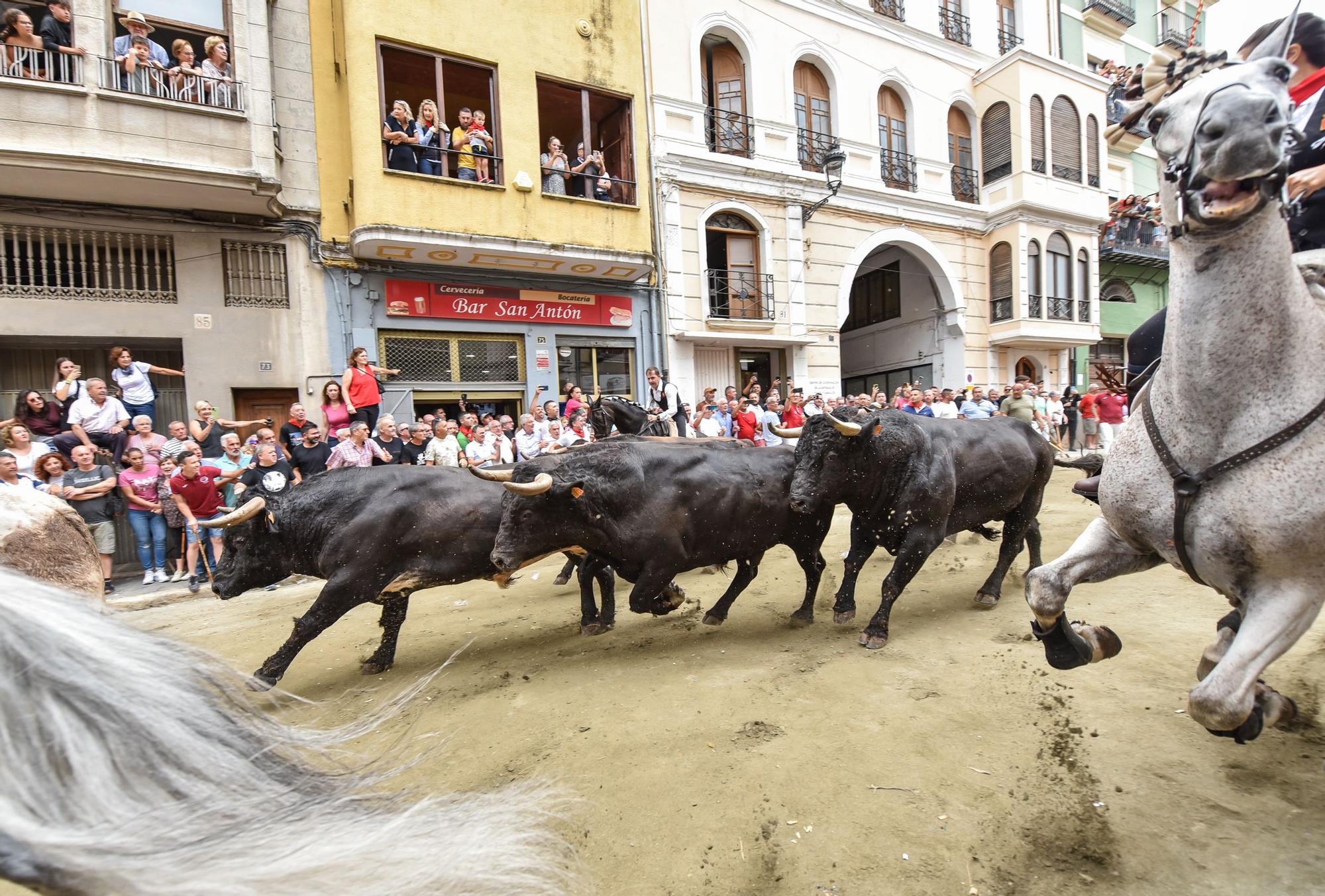 Primera entrada de caballos y toros de Segorbe