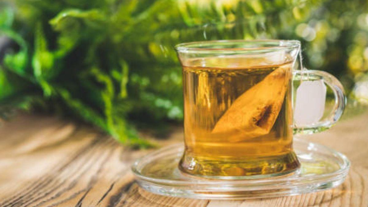 BENEFICIOS DEL HINOJO EN INFUSIÓN  Todo lo que debes saber sobre el té de  hinojo y sus beneficios para adelgazar