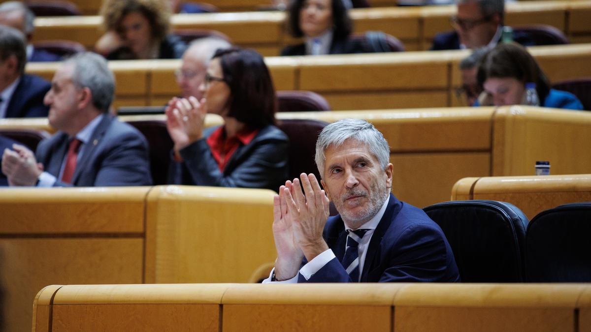 Fernando Grande-Marlaska, durante una sesión de control al Gobierno en el Senado.
