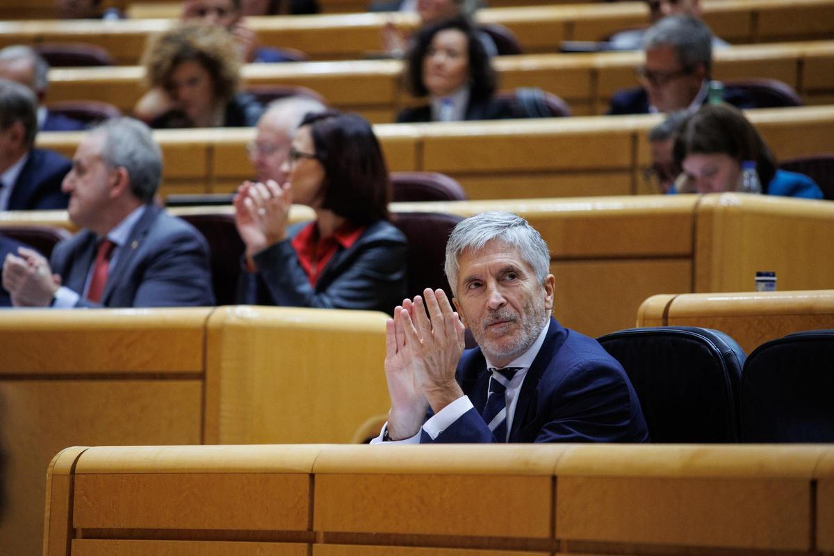Fernando Grande-Marlaska, durante una sesión de control al Gobierno en el Senado.