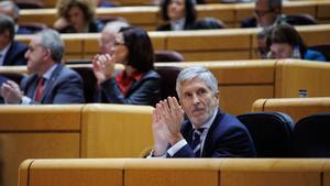 El ministro del Interior en funciones, Fernando Grande-Marlaska, durante una sesión de control al Gobierno, en el Senado, a 7 de noviembre de 2023, en Madrid (España). Durante la sesión, se han abordado cuestiones como las actuaciones realizadas por el Go