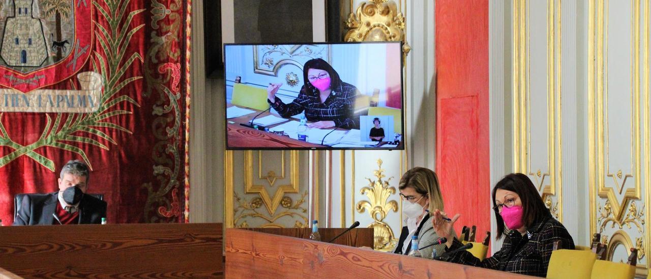 Carmen Luz Vargas durante su intervención en el pleno municipal