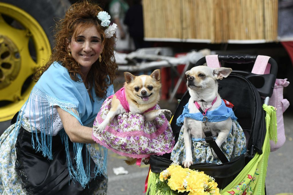 Las mejores imágenes del desfile del Bando de la Huerta de Murcia 2025 (I)