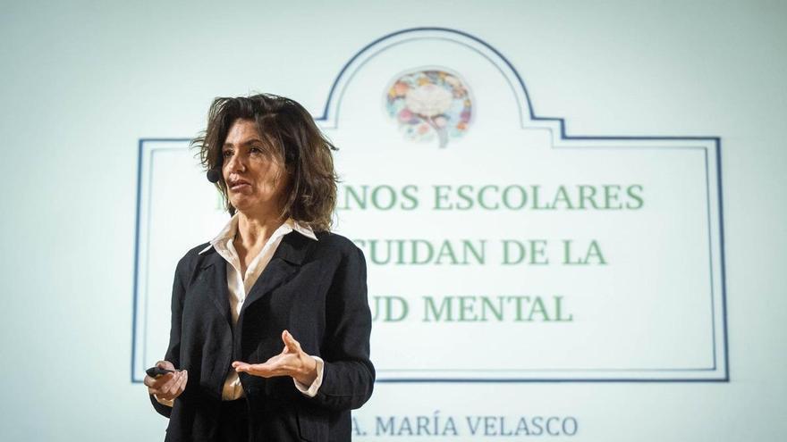 Canary Islands to Strengthen Teacher Authority Amid Rising Classroom Conflict