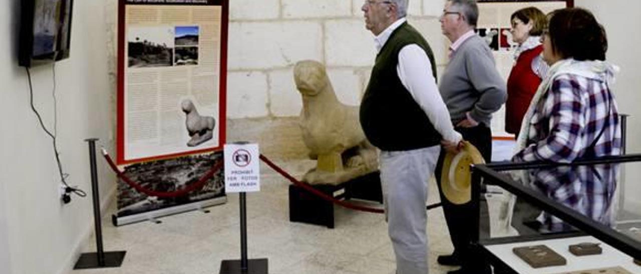 El león ibérico recibe más de 300 visitas el primer fin de semana de exposición