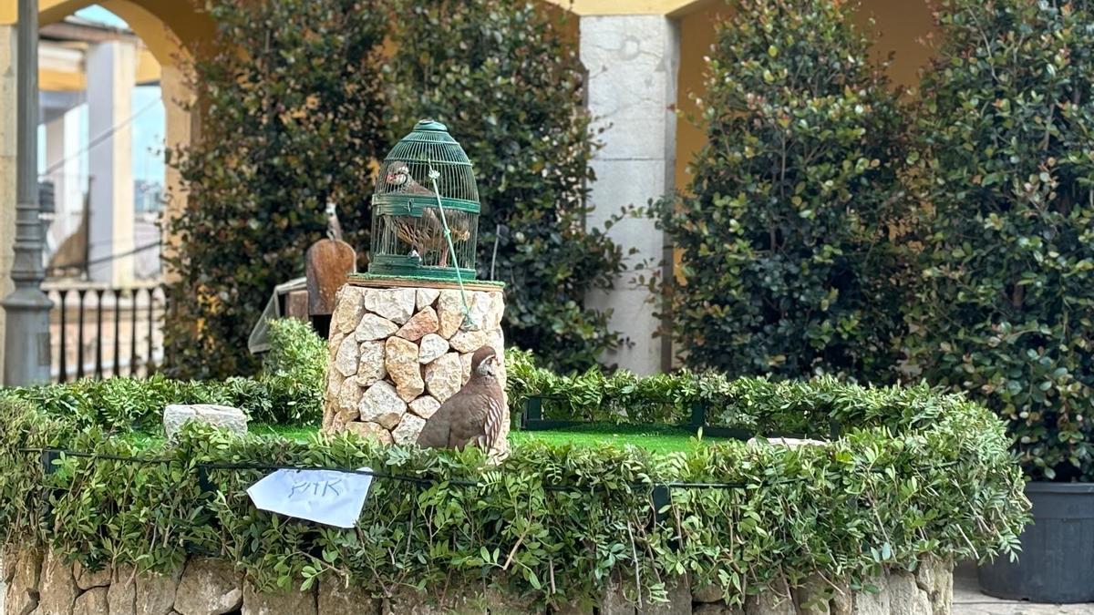 FOTOS | La Fira de Sa Perdiu de Montuïri, en imágenes