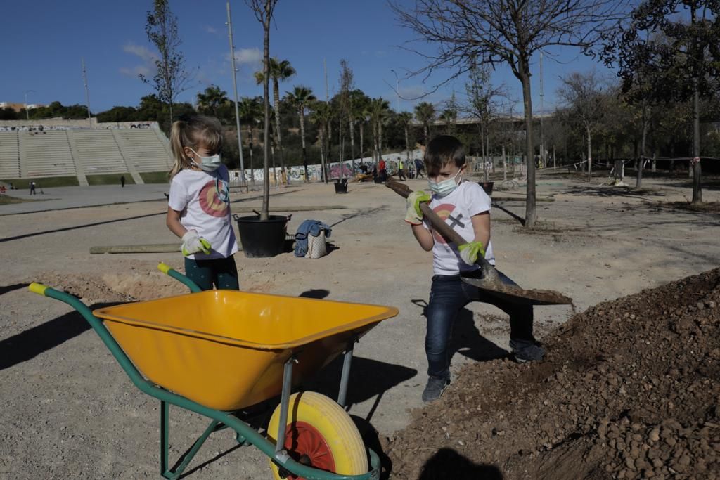 Siembra de árboles en el parque de sa Riera de Palma