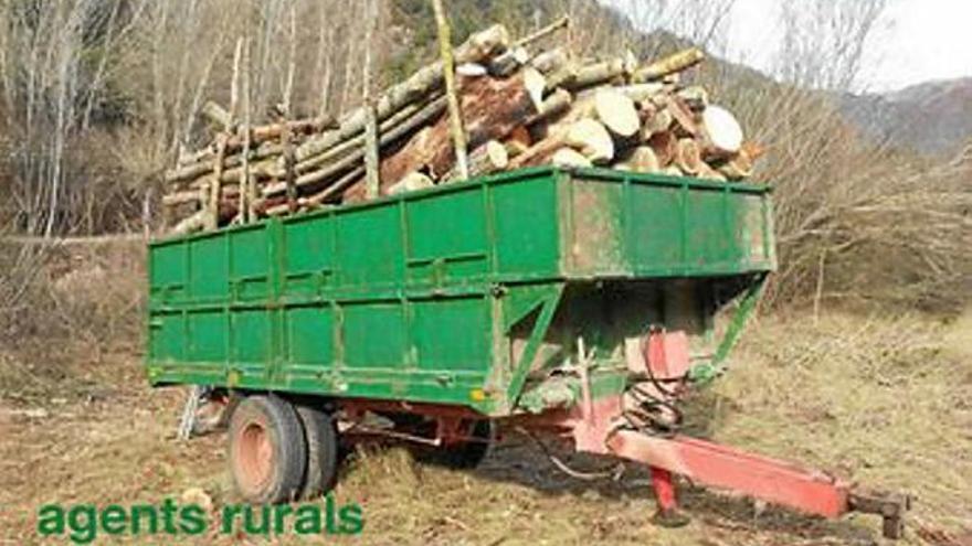 Denunciat per tallar arbres a Guardiola de Berguedà