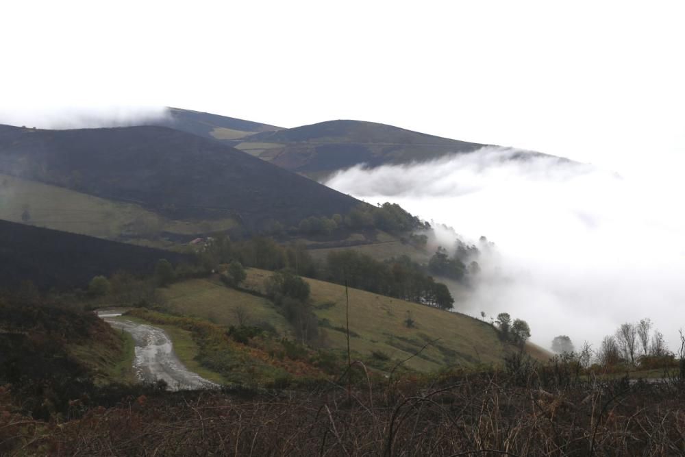 Cangas del Narcea tras los incendios