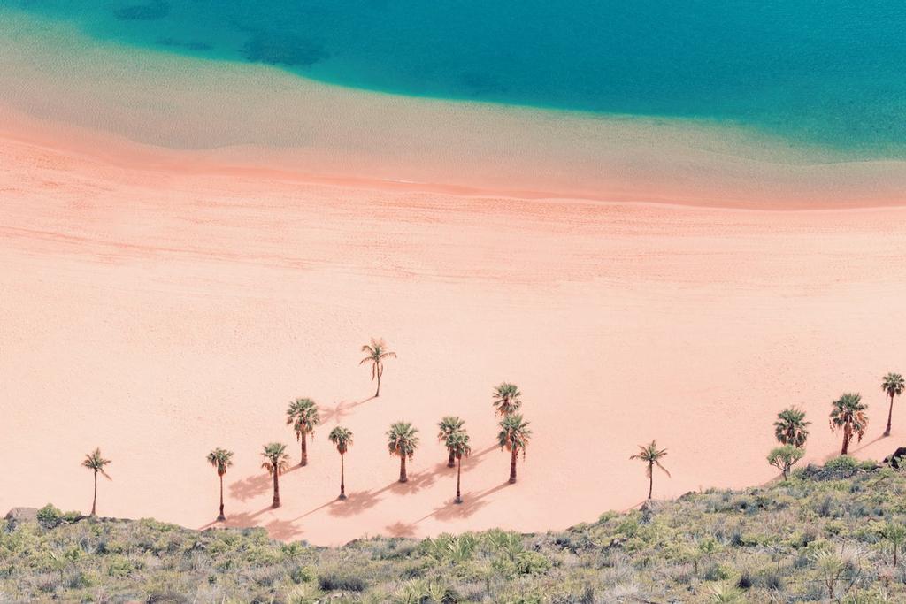 El increíble fenómeno de las playas rosas: estas son las más bonitas ...