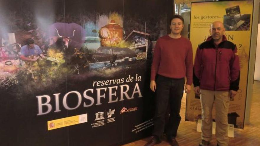 Exposición en Cangas de Onís Muestra sobre el oso pardo en Benia