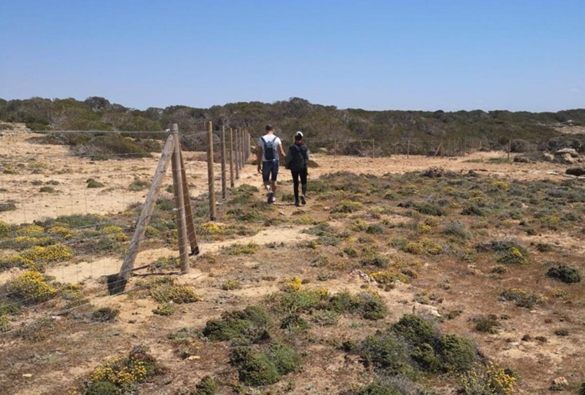 Dos excursionistas caminan por el exterior de la zona cerrada, una práctica que puede dañar el entorno.