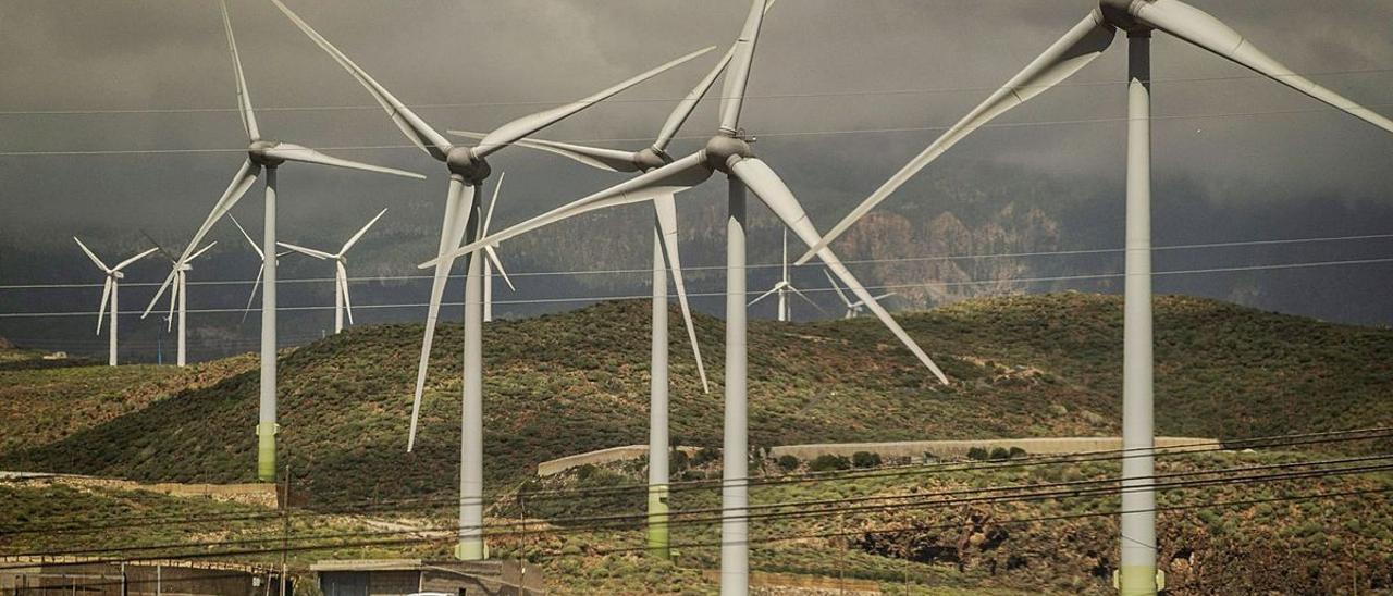 Parque eólico en el sur de Tenerife.