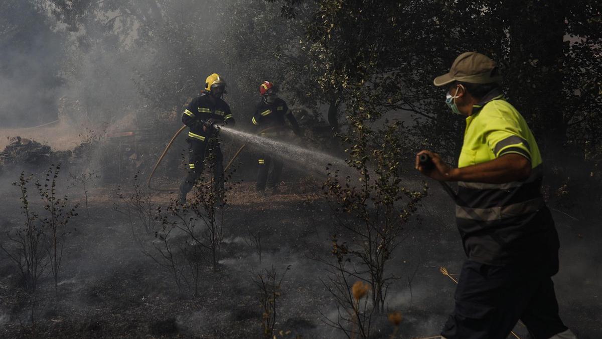 Imágenes del incendio originado en Lober de Aliste.